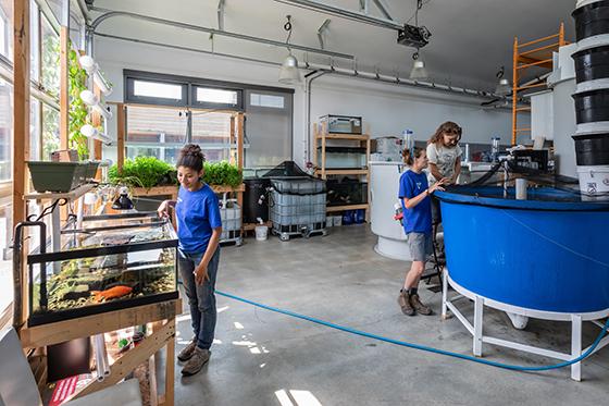 Photo of Chatham University sustainability students working in the aquaculture lab at Eden Hall Farm, monitoring fish in large and small tanks. 